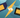 esim or physical sim